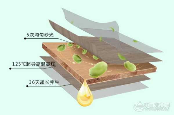 纯天然无添加 金利源ENF黄金豆胶植萃板实力守护健康安全家