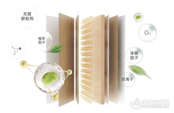 纯天然无添加 金利源ENF黄金豆胶植萃板实力守护健康安全家