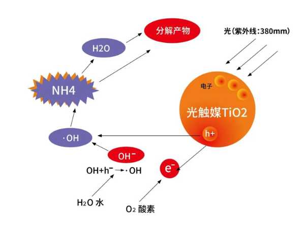 物理or化学丨揭幕鹏鸿「抗菌材料」背后的秘密