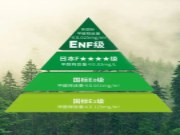 中元木业•守护健康丨森世特ENF级环保板材实力出圈