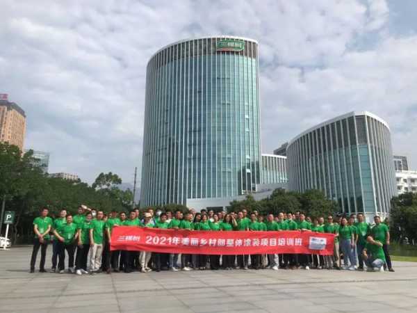 三棵树美丽乡村整体涂装培训，助力黄石经销商服务落地