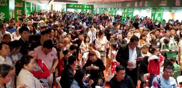 上市20周年丨绿色征程二十载，兔宝宝与时代共生长
