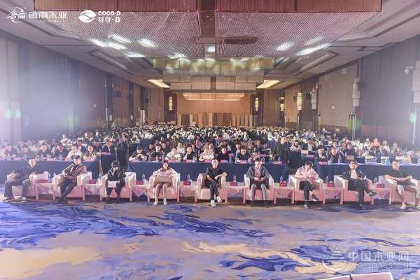 鲁丽·可可D板创始人吴晓庆：一起“鲁丽” 力争河南销售额达1.5亿