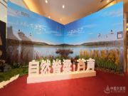 尼尔科达芦苇板全国招商大会启幕 引领家居板材抗变形革命