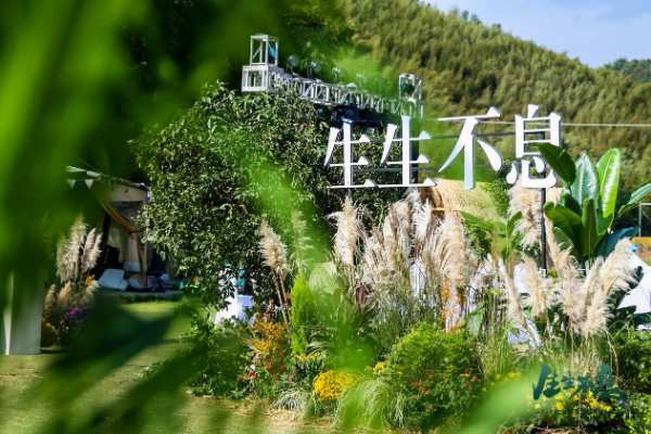 兔宝宝秋季新品问世：“零醛抗菌” 锋芒毕露，定义品质生活新高度