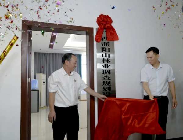 广西派阳山林业调查规划设计有限责任公司揭牌成立