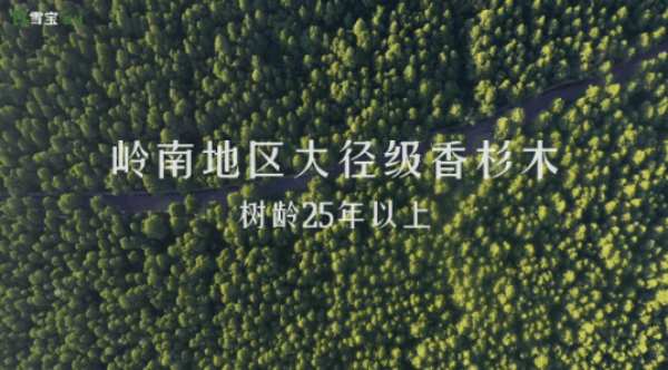 要健康！环保！实用！好用！耐用！装修板材选雪宝，统统满足你！