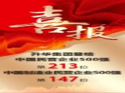 2024中国民营企业500强揭榜，升华集团居213位