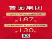 喜报丨鲁丽集团有限公司位列“2024中国民营企业500强”第187位