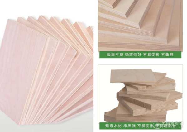 杰业木业实力联动央视  展映品牌最强音