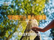 杰业木业实力联动央视  展映品牌最强音
