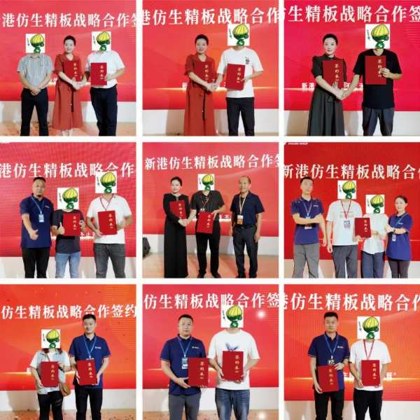 尽兴逐梦战至巅峰，新港集团X临沂木博会载誉收官！