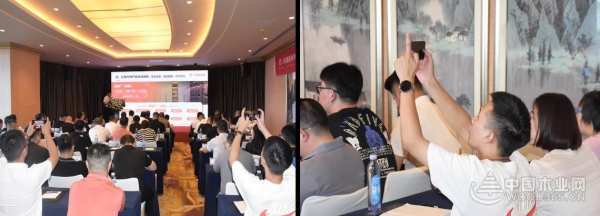 用梦牌 赢未来 梦牌板材新品发布会成功举办