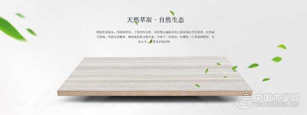 以设计美学点亮生活质感 隆饰板材即将亮相第十九届中国林产品交易会 