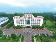 梦牌板材：荣耀之路，以品质铸就辉煌！