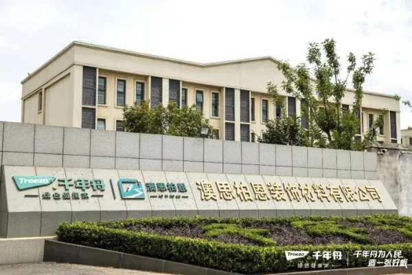 绿色溯源·品质引领丨走进千年舟工厂，领略智能制造硬核实力