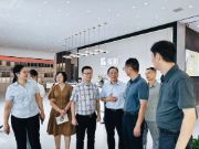 湖南省市监局“质量体检进企业”专家团队前往福湘木业调研