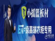 打造家居风格统一协调性 小摇篮板材推出门墙柜线条产品