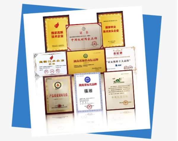 荣耀前行，铸就辉煌——福湘木业荣获《湖南行业影响力奖》