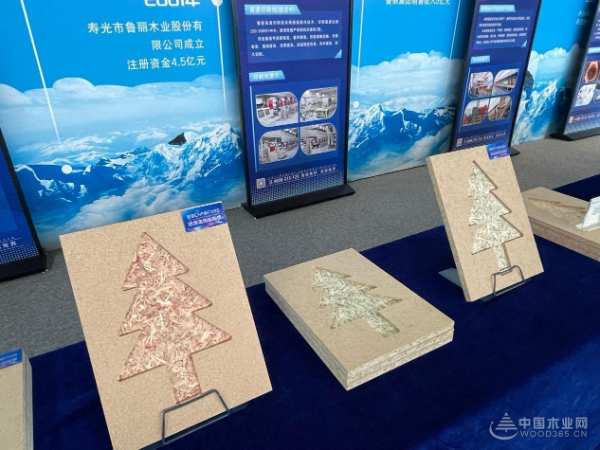 向“新”而行 江西鲁丽木业行业交流会圆满结束