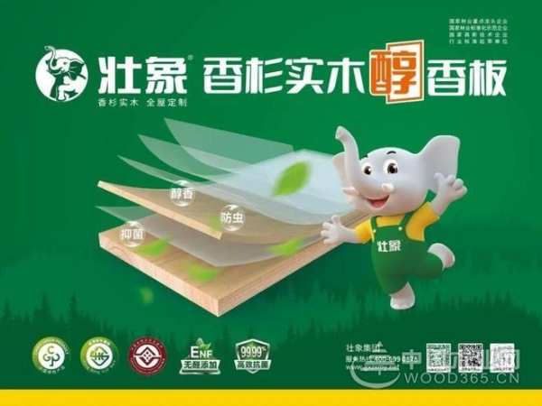 文化传承，璀璨绽放 —— 《香杉诗韵》首 发仪式隆重举行！
