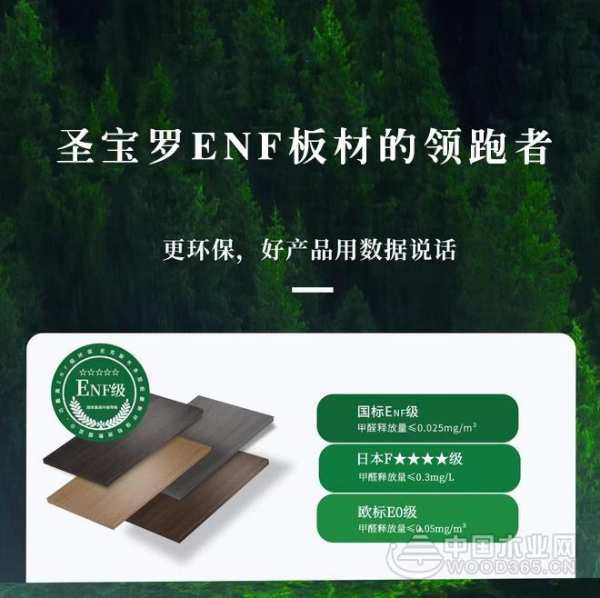 追“新”逐“质” 圣宝罗酷锐书写高质量发展新篇章