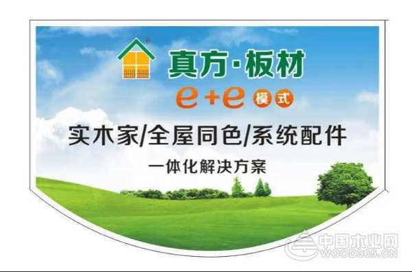 “真”心制造 真方板材荣获2024金匠榜“健康板材十大品牌”实力奖项