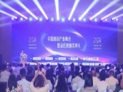 智阁板材 | 荣膺2024中国板材金匠榜“健康板材十大品牌”