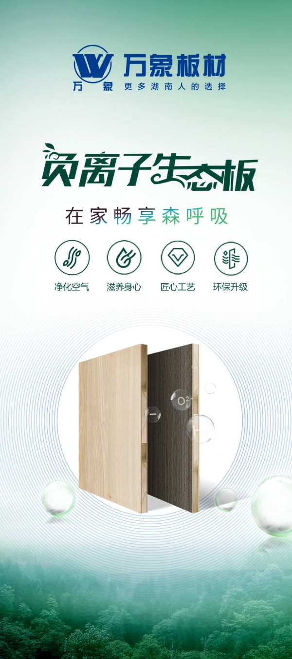榜上有名 载誉而归 | 万象板材荣获“生态板十大品牌”，闪耀2024中国板材产业峰会！