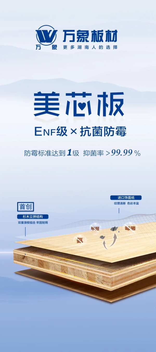 榜上有名 载誉而归 | 万象板材荣获“生态板十大品牌”，闪耀2024中国板材产业峰会！