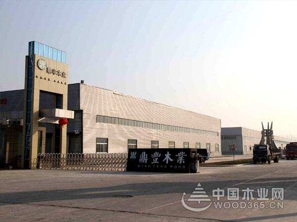 荣耀见证！鼎丰获2024金匠榜“刨花板十大品牌”奖项称号