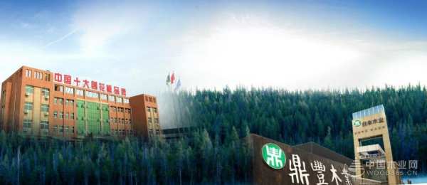 荣耀见证！鼎丰获2024金匠榜“刨花板十大品牌”奖项称号