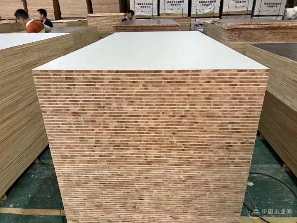   践行绿色发展 饰界视野荣获“全屋定制板材十大品牌”称号