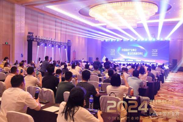 壮象木业闪耀2024中国板材产业峰会，双项大奖彰显行业领航实力！