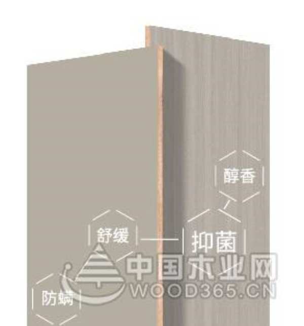 壮象木业闪耀2024中国板材产业峰会，双项大奖彰显行业领航实力！