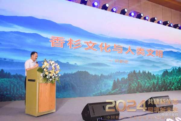 壮象木业闪耀2024中国板材产业峰会，双项大奖彰显行业领航实力！