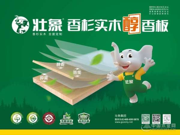 壮象木业闪耀2024中国板材产业峰会，双项大奖彰显行业领航实力！
