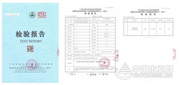 不忘环保初心 小摇篮斩获“金匠榜”生态环保双誉佳绩！