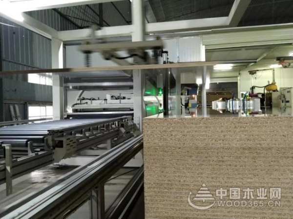 不忘环保初心 小摇篮斩获“金匠榜”生态环保双誉佳绩！