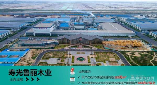 绘绿色发展新篇章 鲁丽木业斩获金匠榜双项大奖