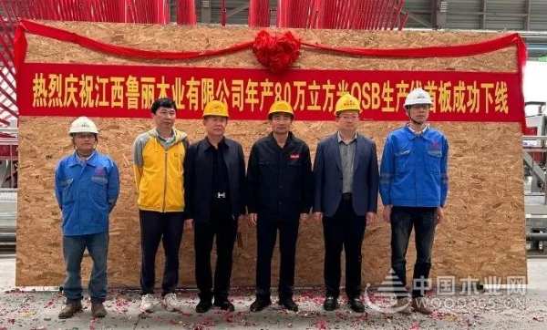 绘绿色发展新篇章 鲁丽木业斩获金匠榜双项大奖