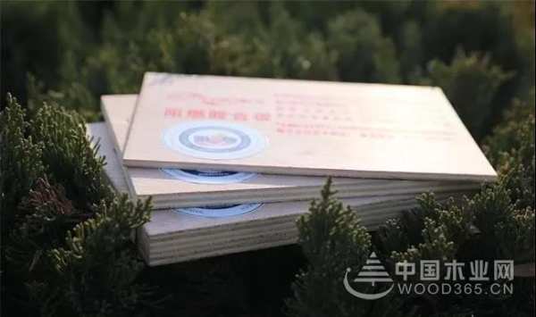 匠心为引 群豪再获金匠榜“阻燃板十大品牌”称号