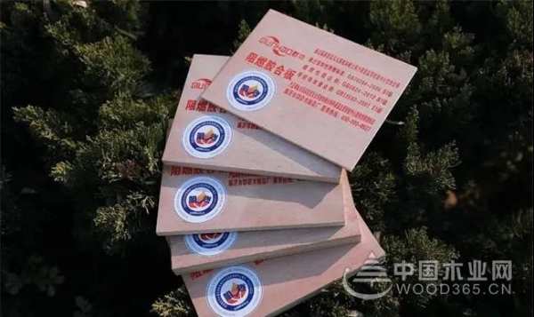 匠心为引 群豪再获金匠榜“阻燃板十大品牌”称号