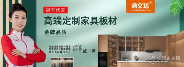 呵护健康家 鼎立达实力斩获2024金匠榜“健康板材十大品牌”荣誉称号