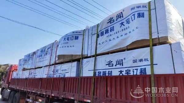 筑梦新篇 荣耀登顶|名闻国潮板揽获金匠榜家具板十大品牌！