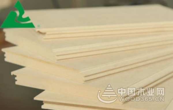 榜样领航|绿洲木业总经理王丽萍：坚守质量责任，持续优质服务
