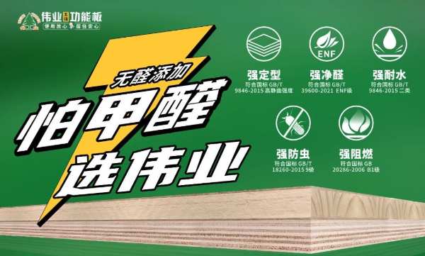 伟业五强功能板新品发布会圆满成功
