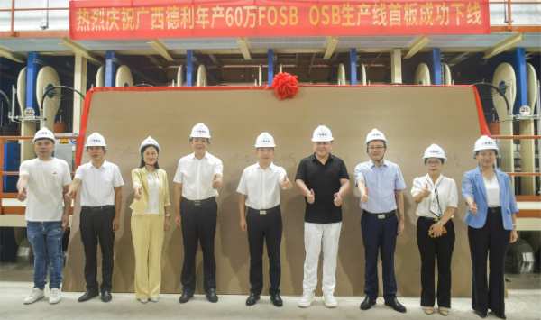 广西德利年产约60万m³FOSB、OSB生产线项目首板下线