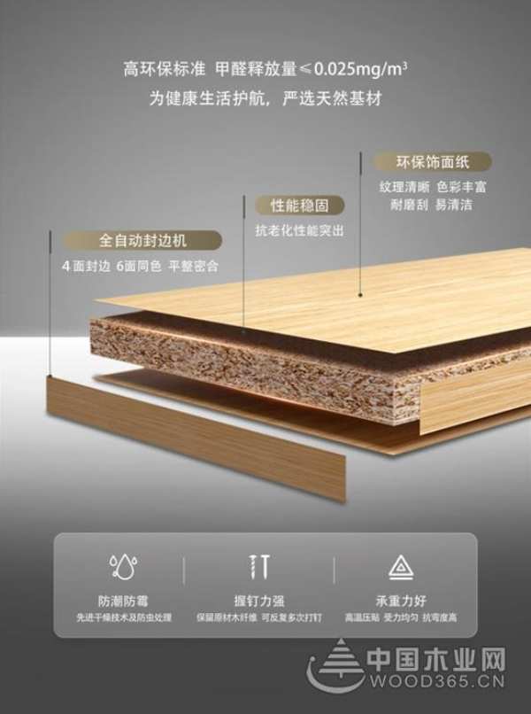 践行绿色发展！梦牌荣获2024年金匠榜“环保板材十大品牌”荣誉