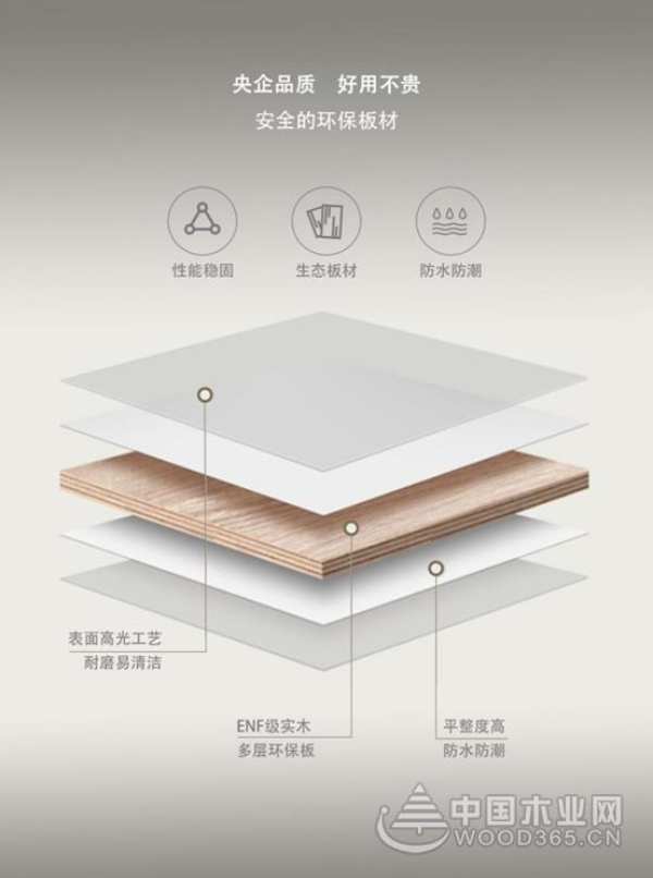 践行绿色发展！梦牌荣获2024年金匠榜“环保板材十大品牌”荣誉